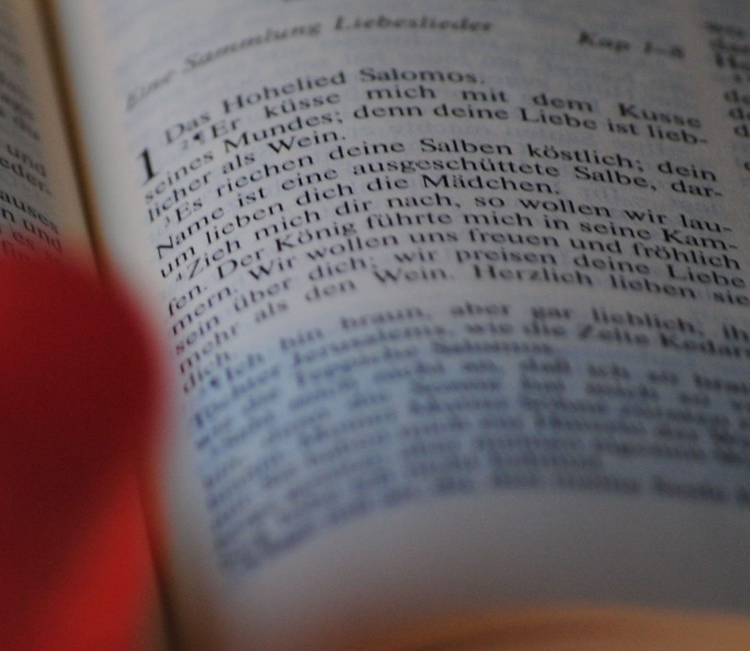 Hohelied der Liebe